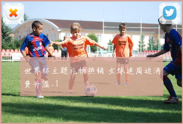 世界杯主题礼物热销 女球迷周边消费升温_1