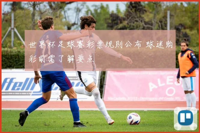 世界杯足球赛彩票规则公布 球迷购彩前需了解要点