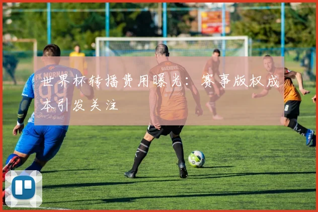 世界杯转播费用曝光：赛事版权成本引发关注