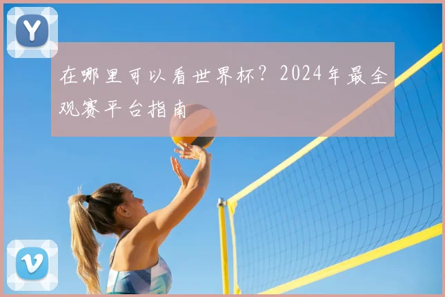 在哪里可以看世界杯?2024年最全观赛平台指南