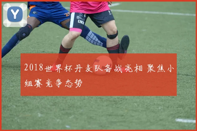 2018世界杯丹麦队备战亮相 聚焦小组赛竞争态势