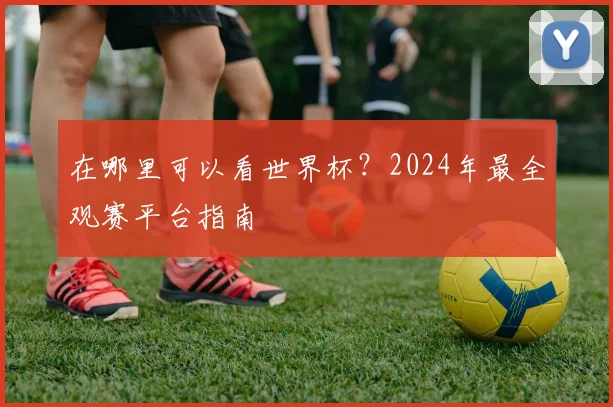 在哪里可以看世界杯?2024年最全观赛平台指南