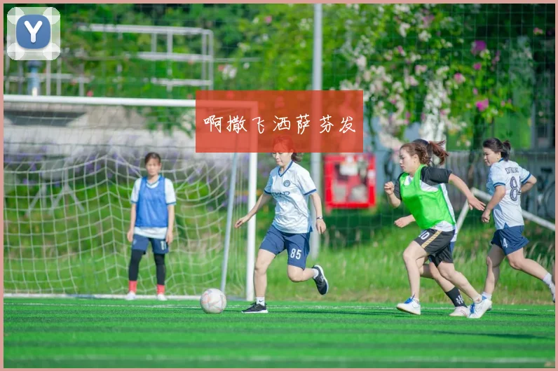 世界杯举办地区解析：赛事通常由主办国所区域承办