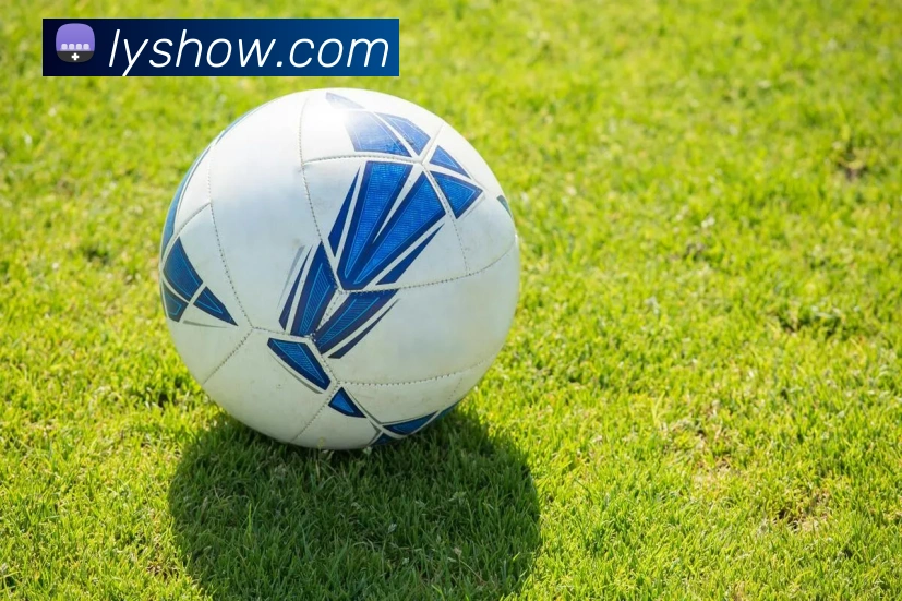 世界杯官方网络平台发展历程